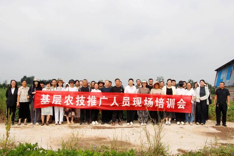热带风情：解锁种植热带水果的无限可能