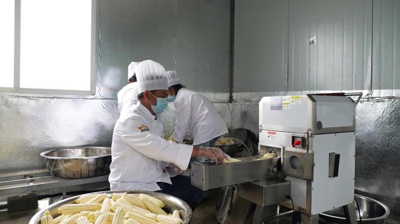 海南农业综合开发：绿色生态引领未来