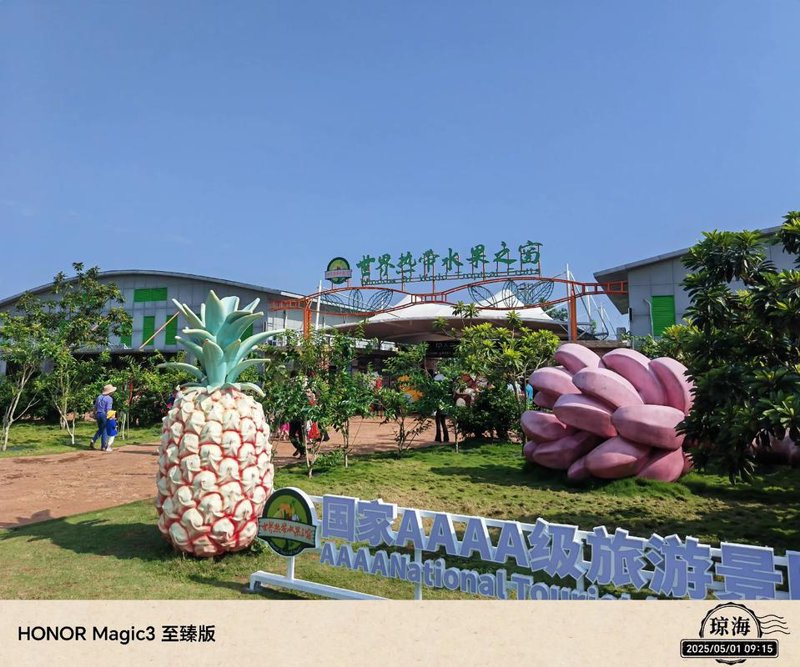 海南农业综合开发：绿野中的金色希望